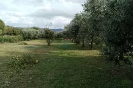 Rakalj,kuća s bazenom, pomoćnim objektom i građevinskim zemljištem 3000m2, Marčana, Haus