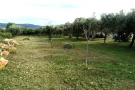 Rakalj,kuća s bazenom, pomoćnim objektom i građevinskim zemljištem 3000m2, Marčana, Haus