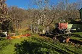 Čavle, Cernik, obiteljska kuća s 3000 m2 građevinskog zemljišta!, Čavle, Kuća