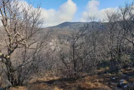 20.000 m2 zemljište Hreljin, Bakar, Land