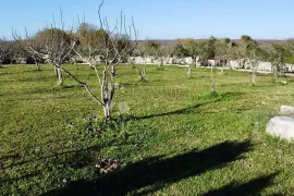 IDEALNO ZEMLJIŠTE ZA KUĆU, Marčana, Terreno