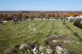 IDEALNO ZEMLJIŠTE ZA KUĆU, Marčana, Terreno