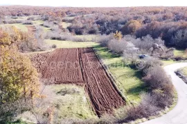 Imotski objekt + građevinsko zemljište 2413 m2 Proložac Gornji, Земля